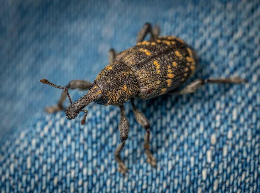 Problèmes d'insectes liés à la production alimentaire